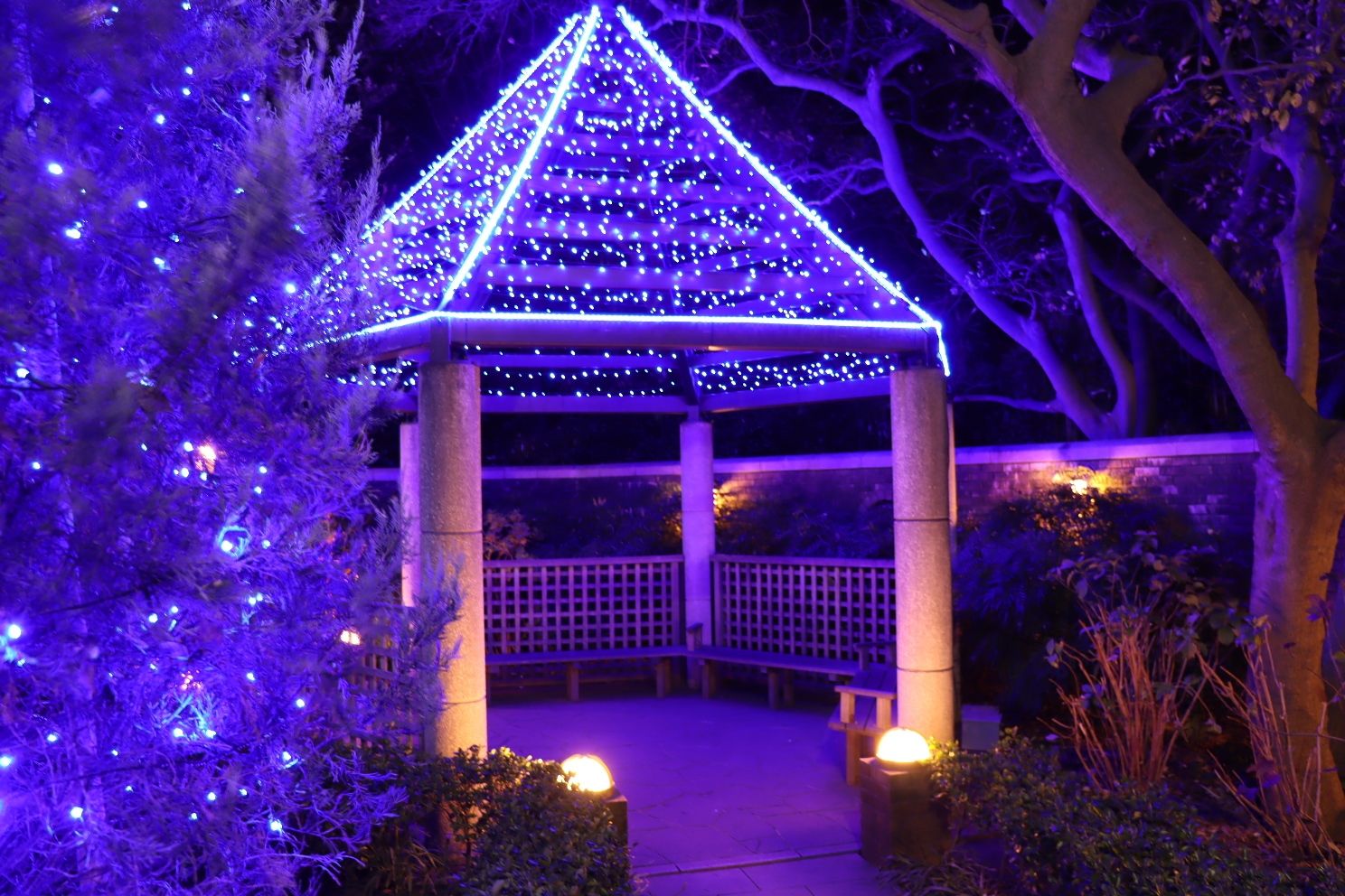 山手町 アメリカ山公園 SWEET MEMORY