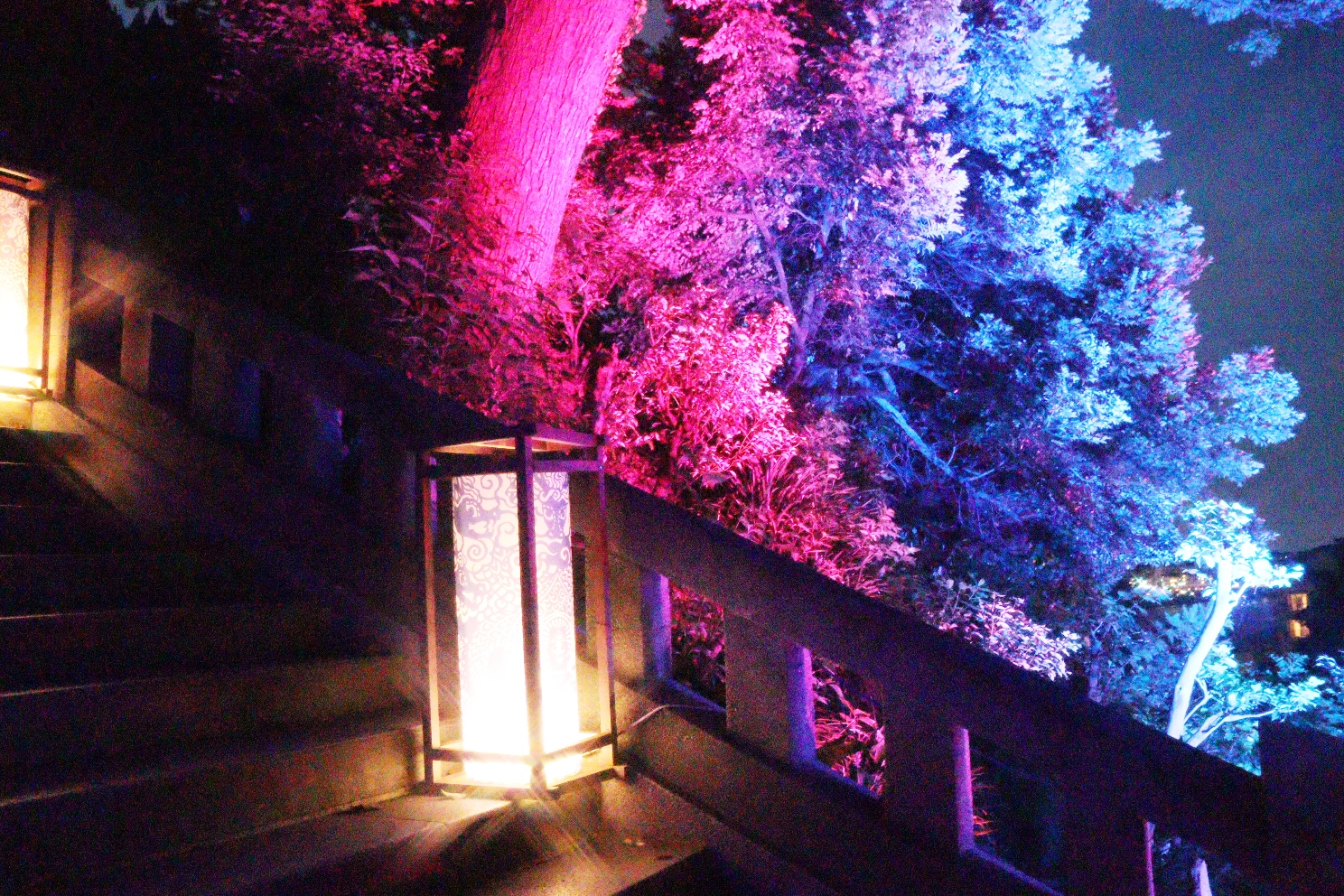 江の島 瑞心門から辺津宮へ 江の島灯篭2024