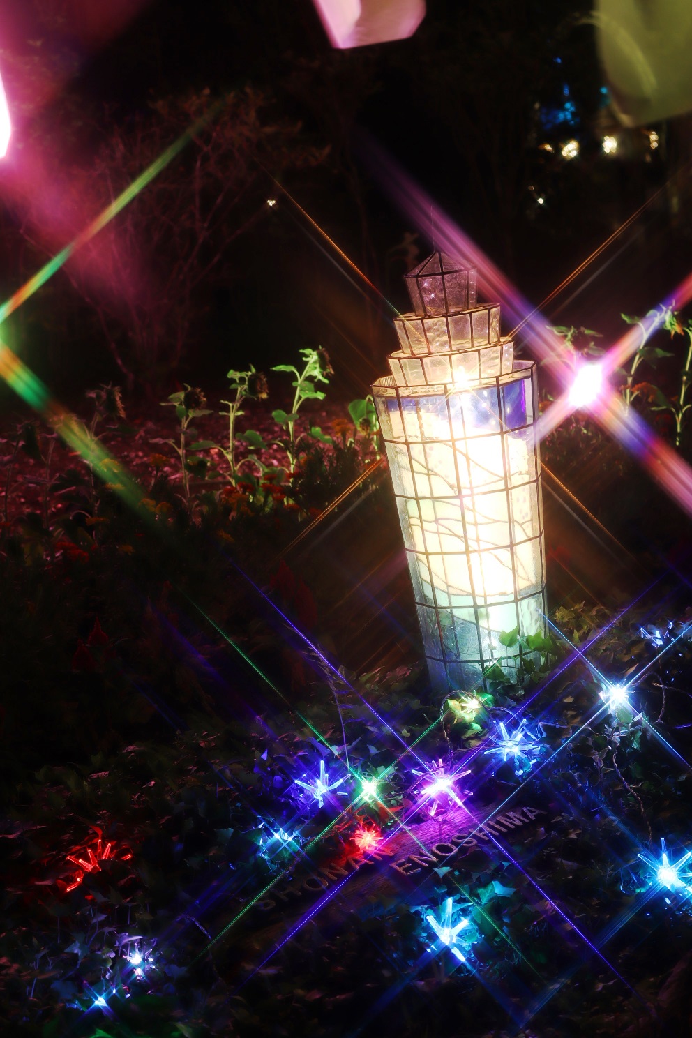 江の島 サムエル・コッキング苑 江の島灯篭2024