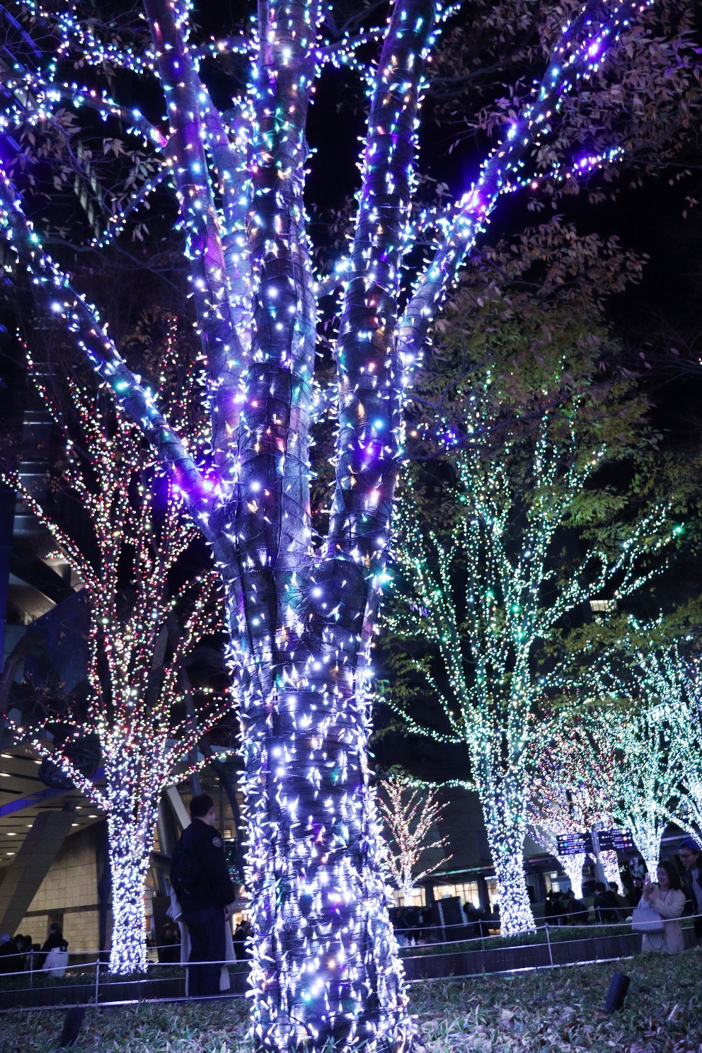 六本木ヒルズ 66プラザ 66プラザイルミネーション