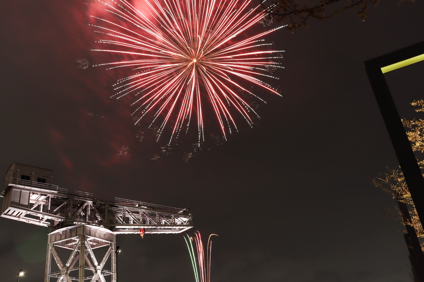 みなとみらい21 横浜ハンマーヘッド 横浜ナイトフラワーズ