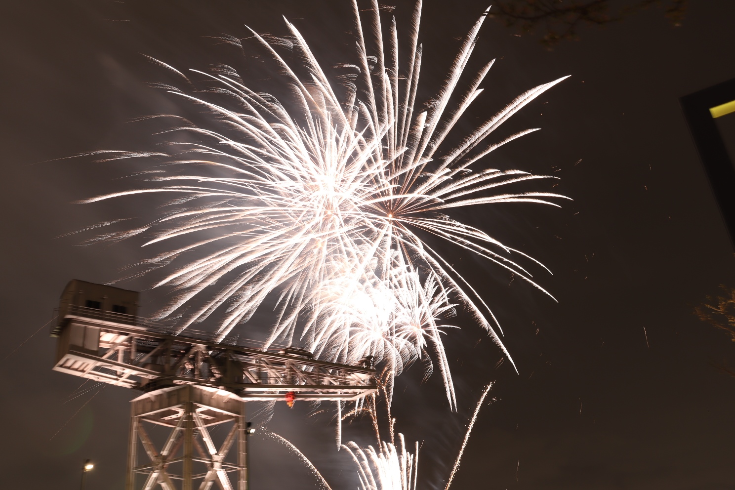 みなとみらい21 横浜ハンマーヘッド 横浜ナイトフラワーズ