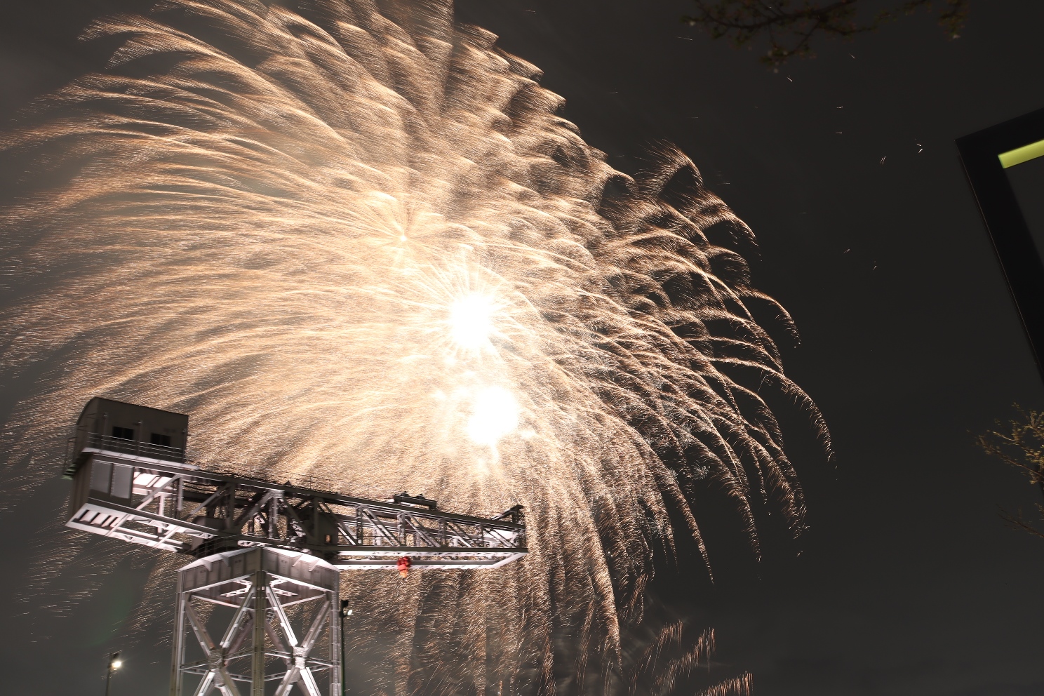 みなとみらい21 横浜ハンマーヘッド 横浜ナイトフラワーズ