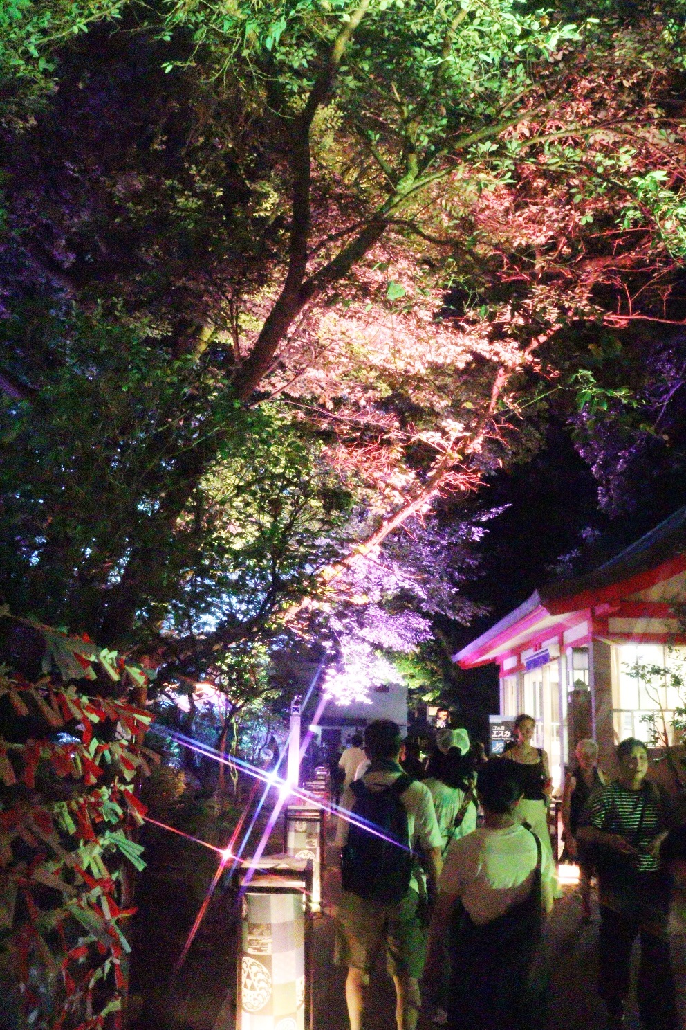 江の島 中津宮参道 江の島灯篭2025