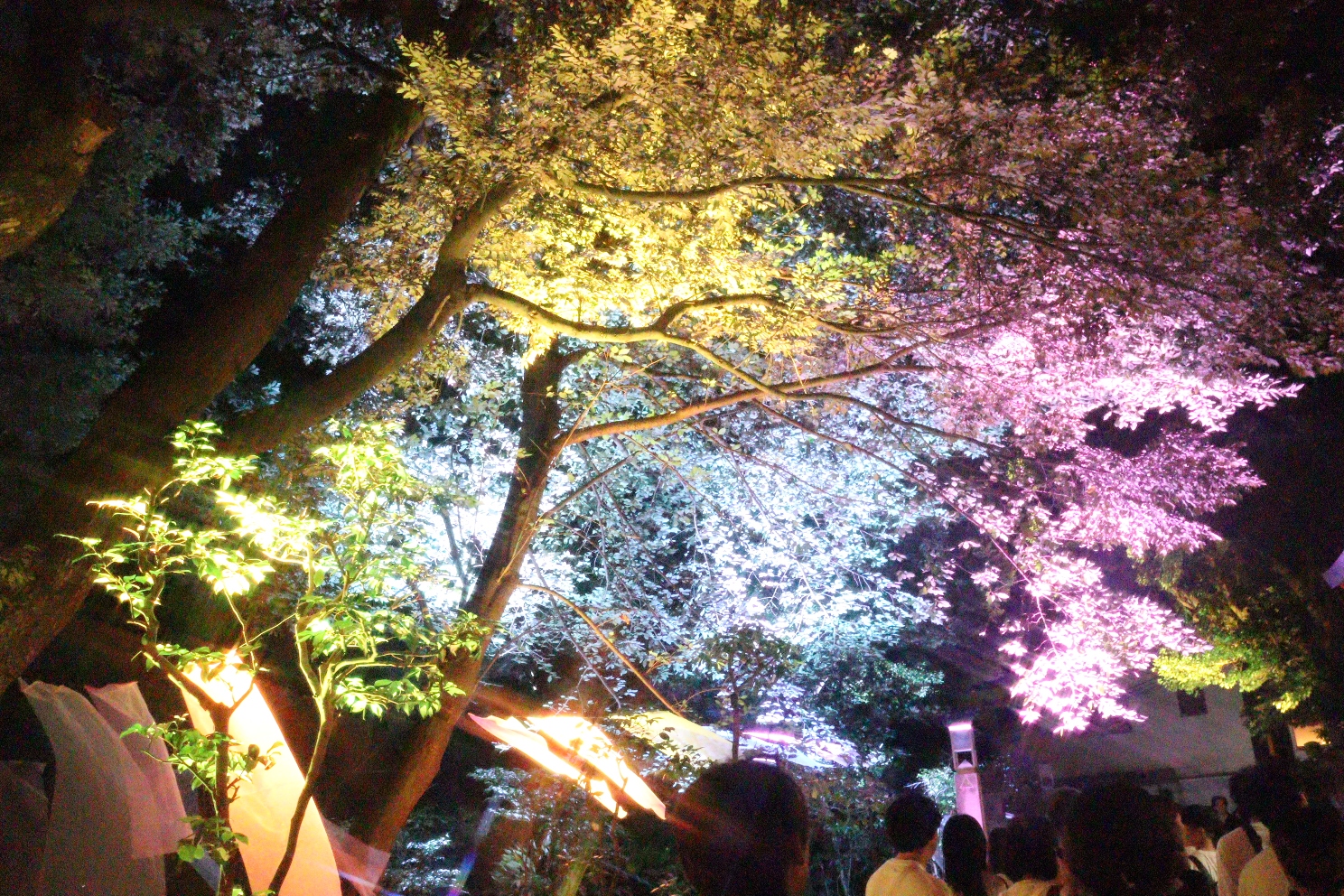 江の島 中津宮参道 江の島灯篭2025