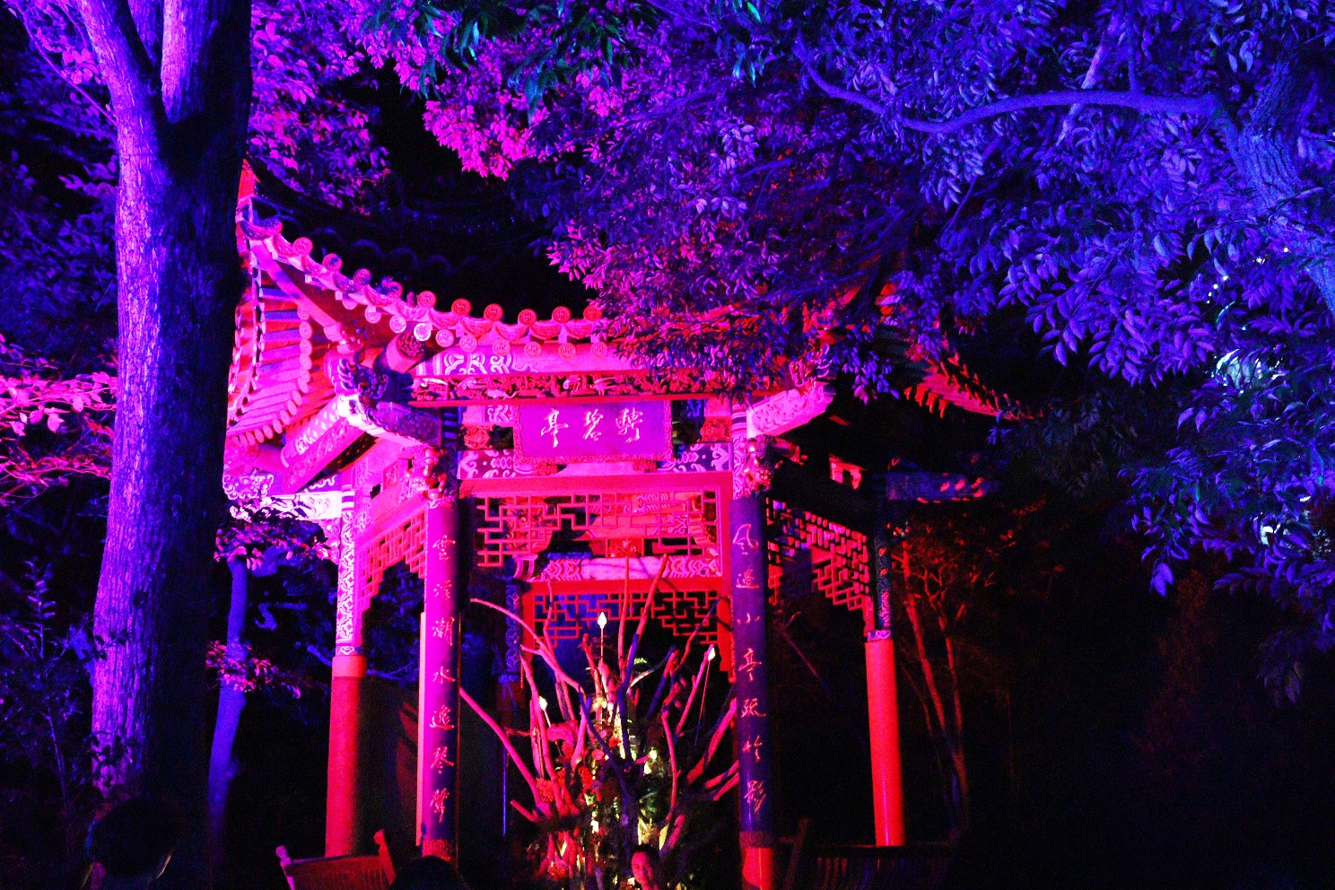 江の島 サムエル・コッキング苑 江の島灯篭2025