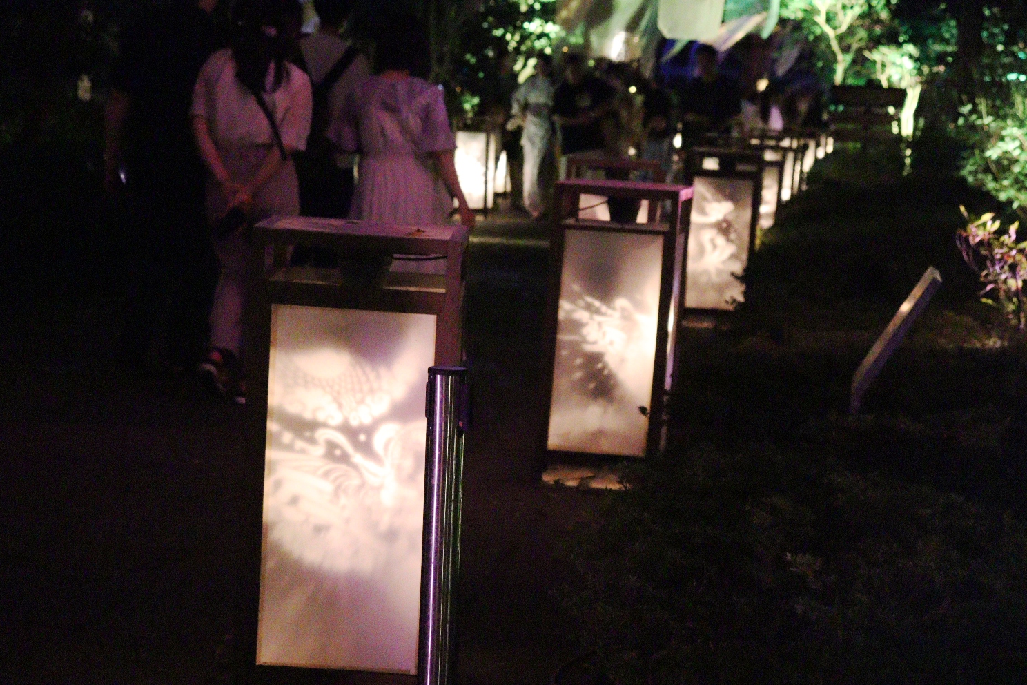 江の島 サムエル・コッキング苑 江の島灯篭2025