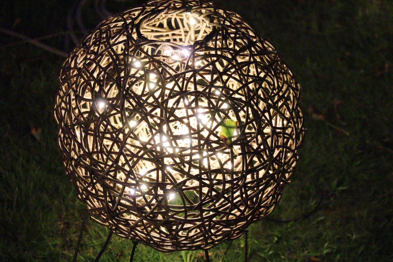 江の島 サムエル・コッキング苑 江の島灯篭2025