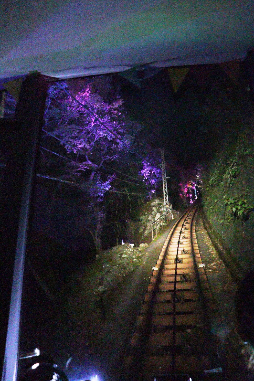 伊勢原大山 大山もみじ祭 大山ケーブルカー前面展望