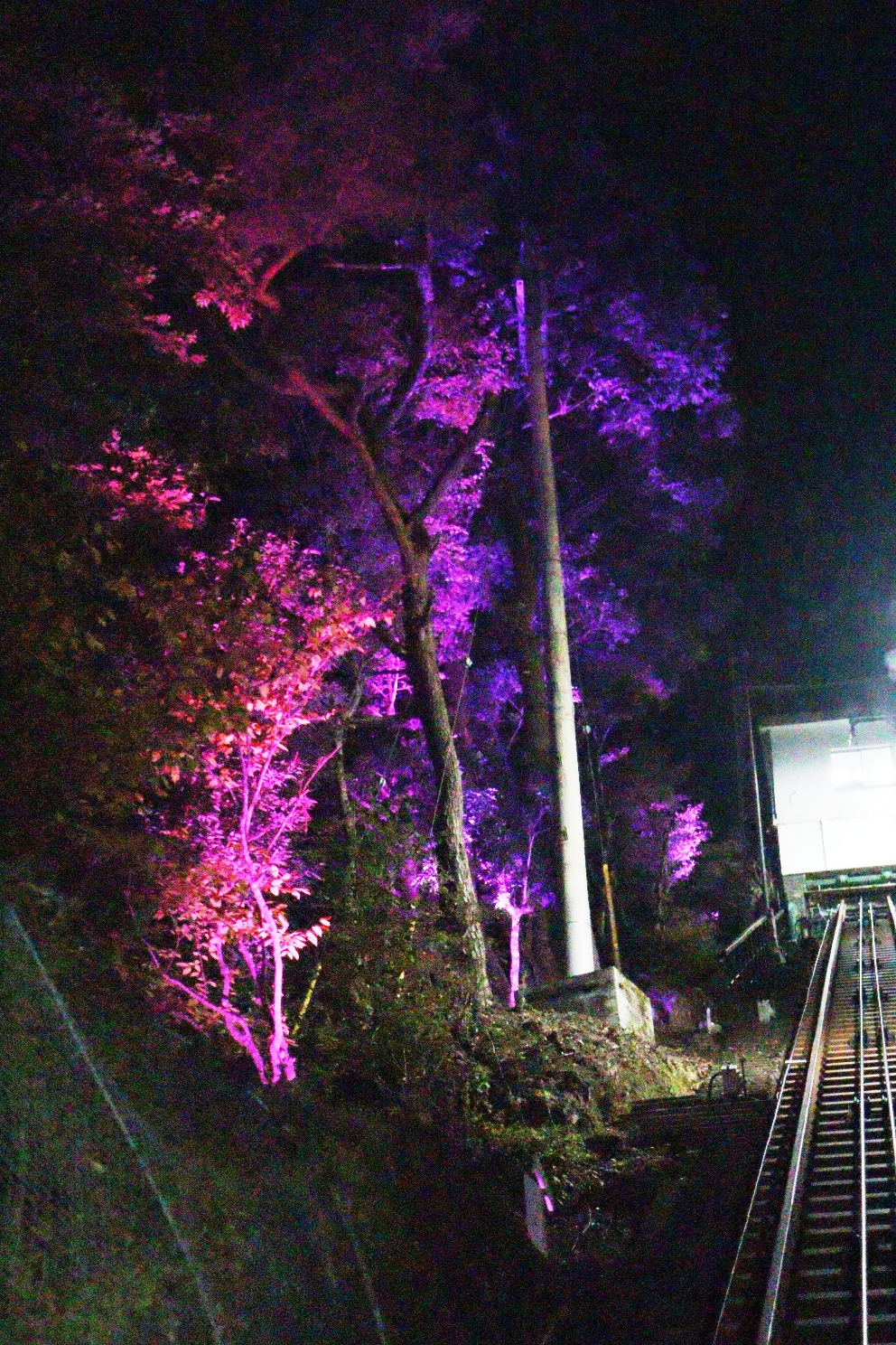 伊勢原大山 大山もみじ祭 大山ケーブルカー前面展望