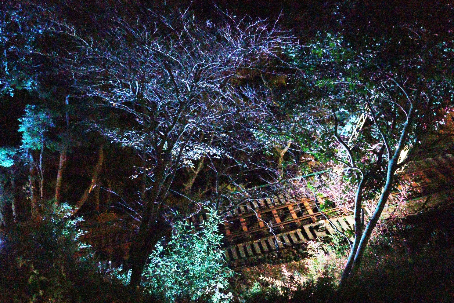 伊勢原大山 大山もみじ祭 大山ケーブルカー線路