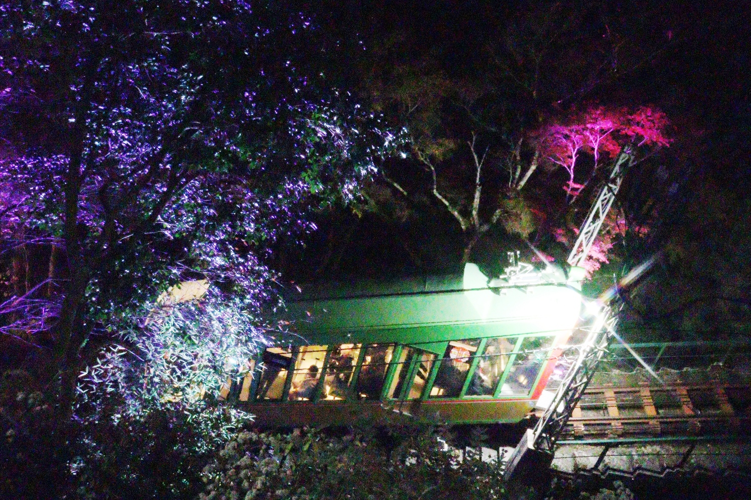 伊勢原大山 大山もみじ祭 大山ケーブルカー線路