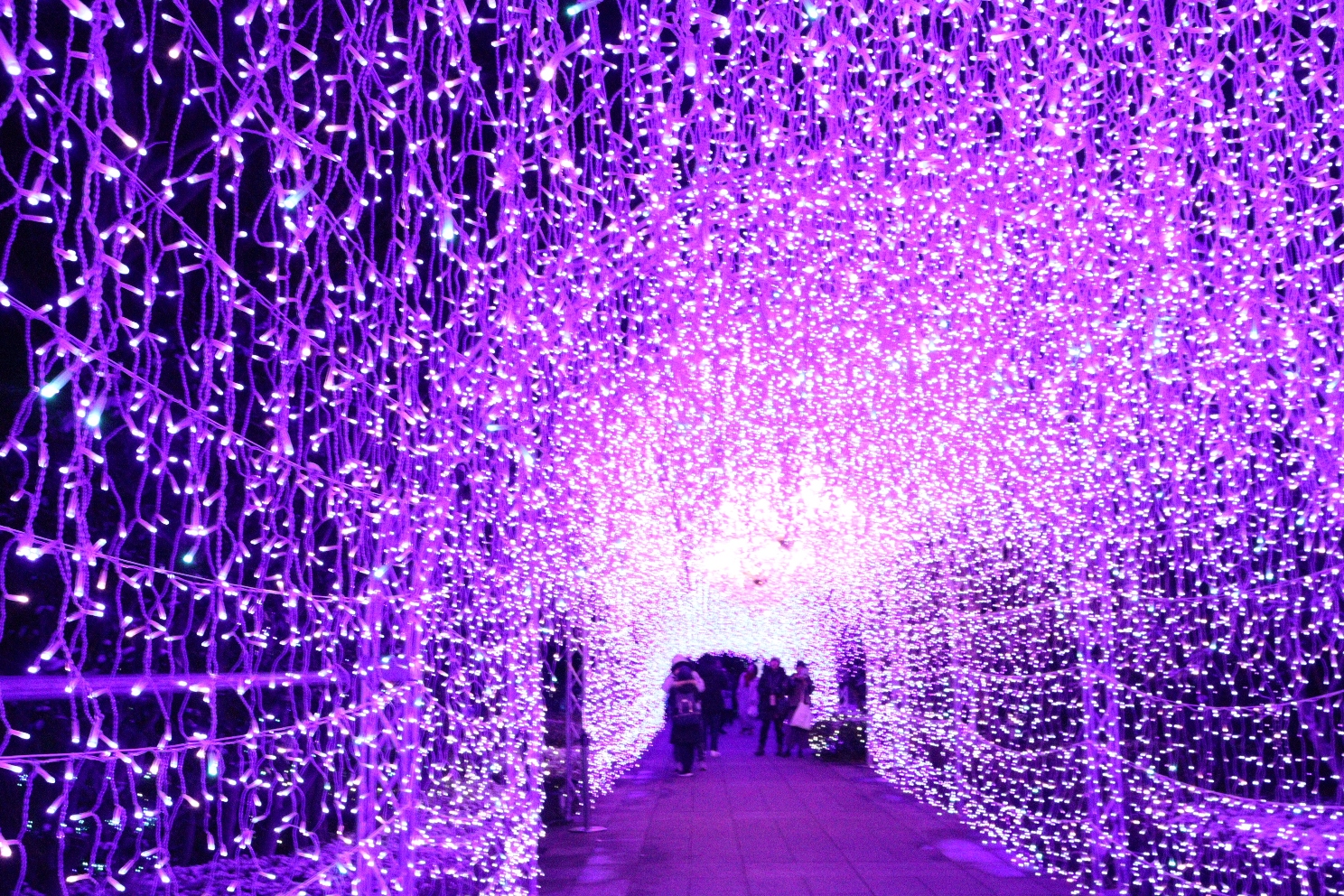 江の島 サムエル・コッキング苑 湘南の宝石