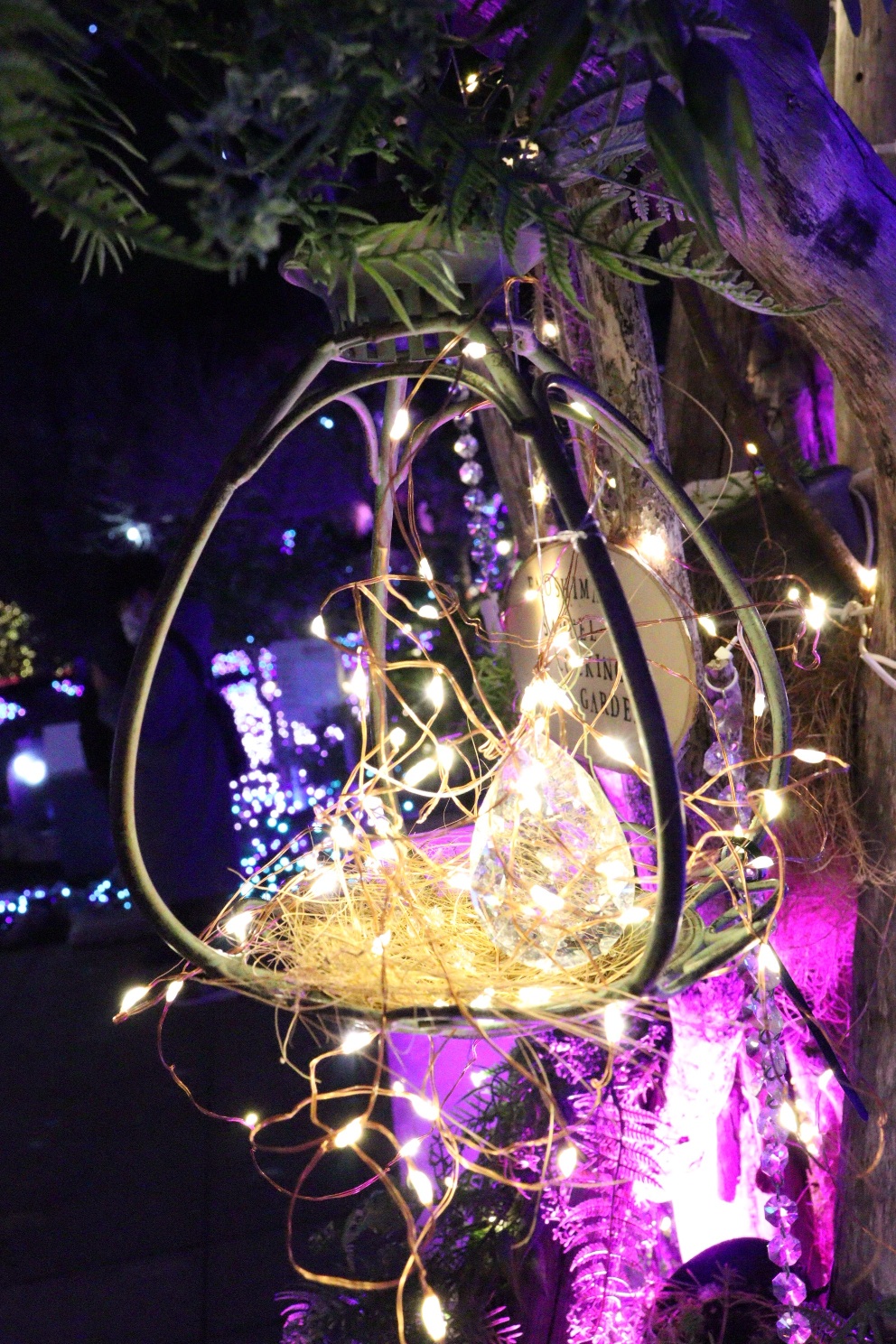 江の島 サムエル・コッキング苑 湘南の宝石