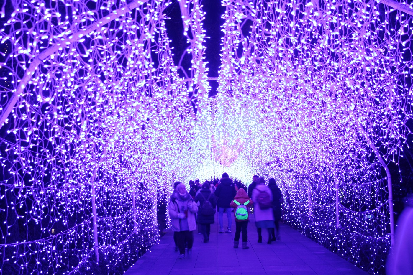 江の島 サムエル・コッキング苑 湘南の宝石