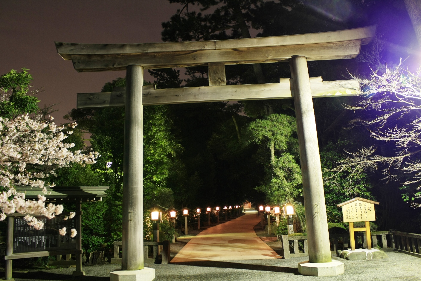寒川神社 寒川神社夜桜